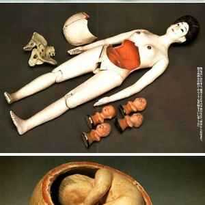 �ձ�ʮ�����̬�����