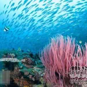 Ǳˮ�ߵ�����TOP10