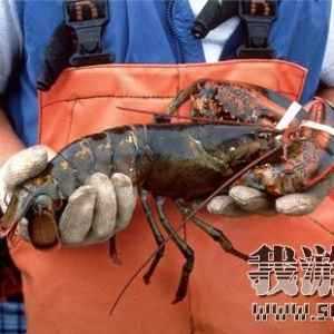 �������ؼ���Ʒ����