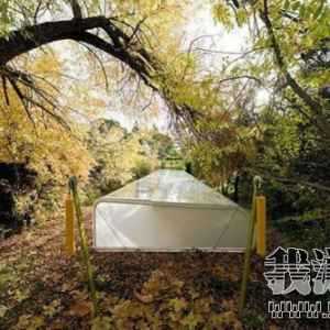 ̾Ϊ��ֹ ɭ���еİ칫��