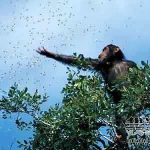 2009���ҵ������ͼƬ