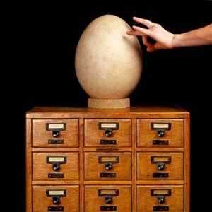 �߽������ѧ��Ȼ��ʷ�����