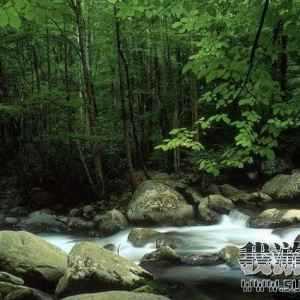 ʷ�������������羰ͼƬ