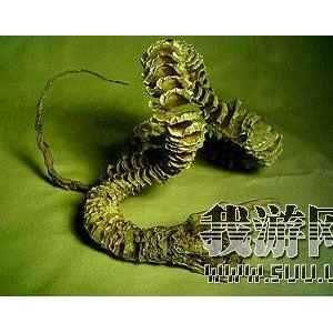 ȫ��ʮ�����ع���