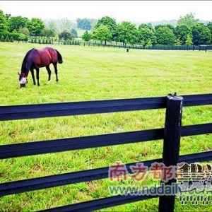 ̽��!�ϰ������Ļƽ�����