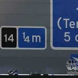 ����������ֵĻ�����TOP16