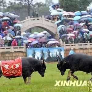 绶һһȵĻѽ(ͼ)