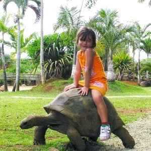 ë����˹:�������������