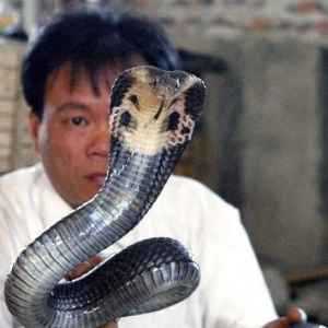 Խ���ߴ� һ������16������