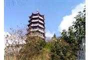ı