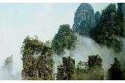金秀银杉公园