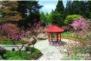 花径