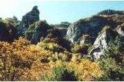 կ