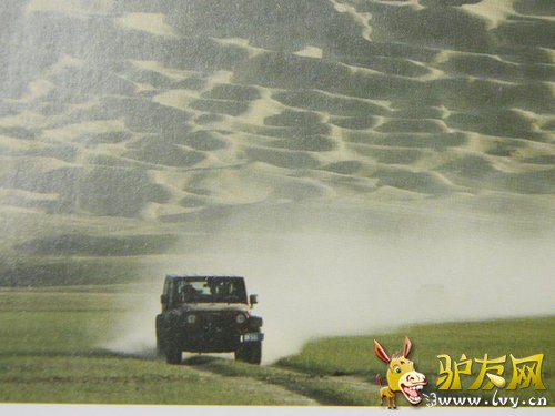 ţ��Ҳ����ˮ�� ���ż�����ԽҰС�ٿ�