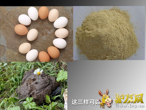 �������ɢ�������Ѳ���û��ֹ©����Ӧ�н�©ˮ�㸽���Ĺ��ӣ����������۷���ɢ�����У����û�к����ۣ�����һ�������������������������Ч��ֻ��ʹ��һ�ѻ�����ţ���ˡ�