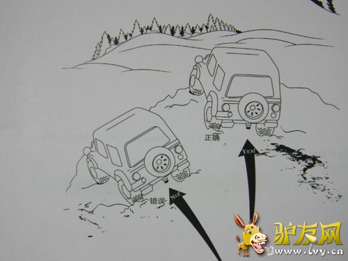 ţ��Ҳ����ˮ�� ���ż�����ԽҰС�ٿ�