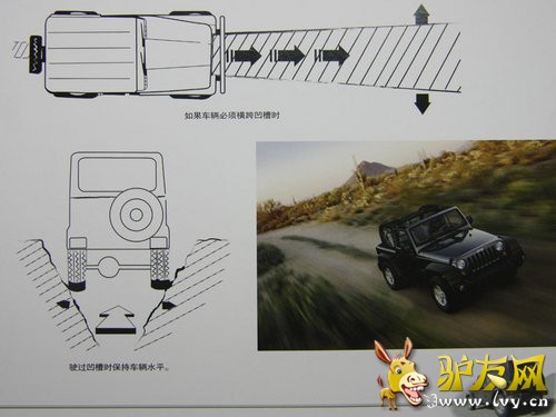 ţ��Ҳ����ˮ�� ���ż�����ԽҰС�ٿ�