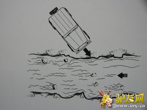 ţ��Ҳ����ˮ�� ���ż�����ԽҰС�ٿ�