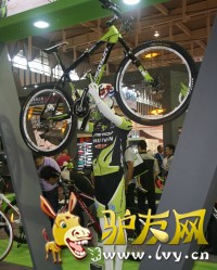 �����ҵרҵϸ�ֽ�������