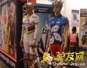 �����ҵרҵϸ�ֽ�������