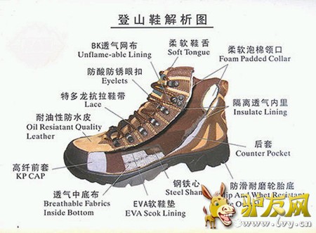 1 ������ǵ�һ��ȥ���ɽЬ�����������һ���ܱ�ĵ�ɽ���ְɣ����ǿ��ܻ�Ե�ɽЬ�к���̵���ʶ��