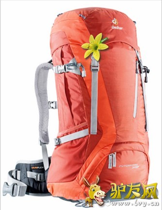 ���Ӿ�Ч������𽱣�Deuter Flower