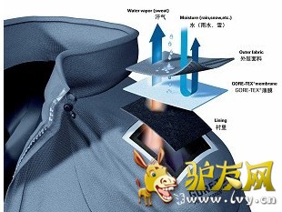 ��������˹���Ϸֲ�ͼ