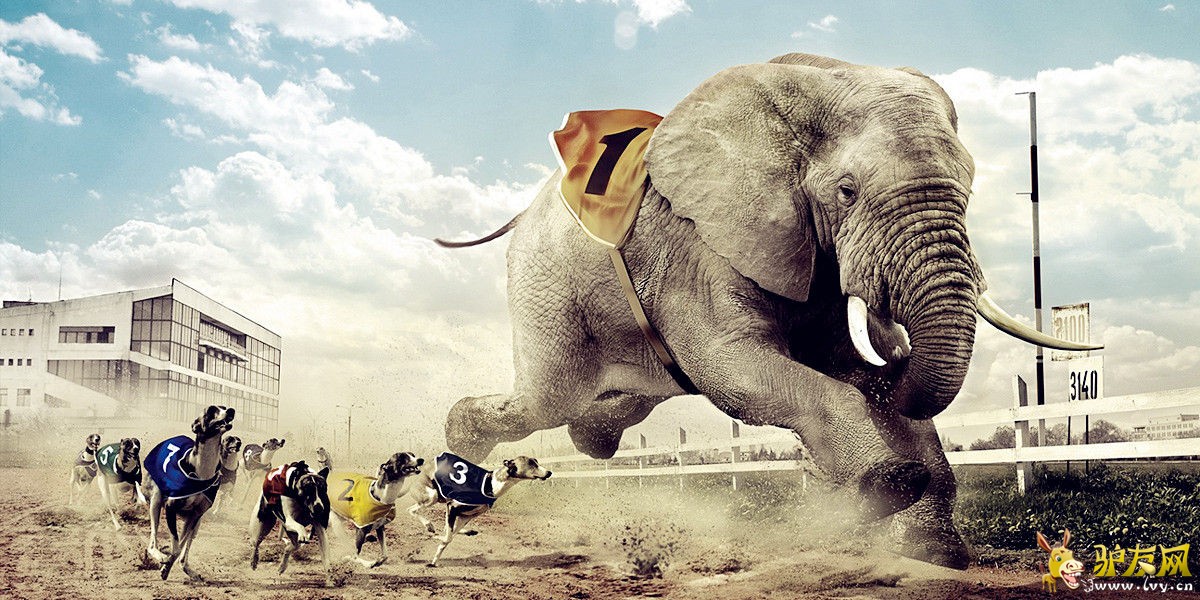 ������Ʒ������װ��ϵ�пɱ�������(Outdoor Gear)