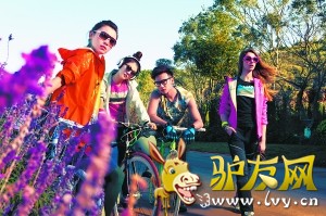 ����Ʒ��HASKI