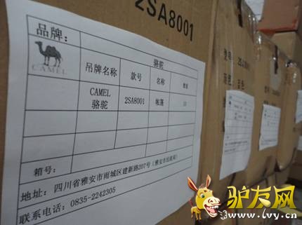 (CAMEL�����Ѿ����伴�̷�����������������)