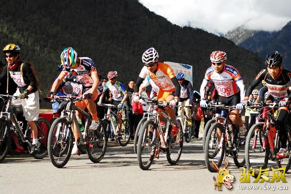 �����鷢��