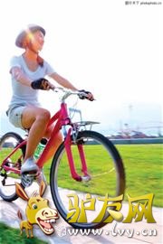 ���꽨�̵����ﳵ�������ν�����