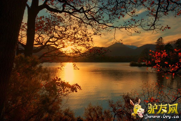 Ħ�ɸ繫�������������硣������ȫ������������͸�����ʿ�����εء������ѡ���������