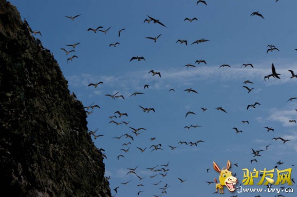 Ħ�ɸ繫�������������硣������ȫ������������͸�����ʿ�����εء������ѡ���������