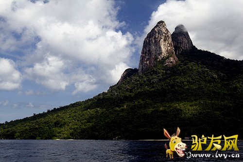 �Ӻ���Զ�����Ƿ壨��Ӱ�����£�