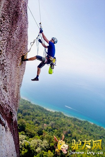 ���������������й�������Ӱ��DavidKaszlikowski��