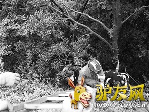 ��Ԯ�ֳ� ͨѶԱ ��ͼ