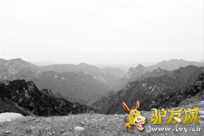 ����¿��������ɽʧ��7��