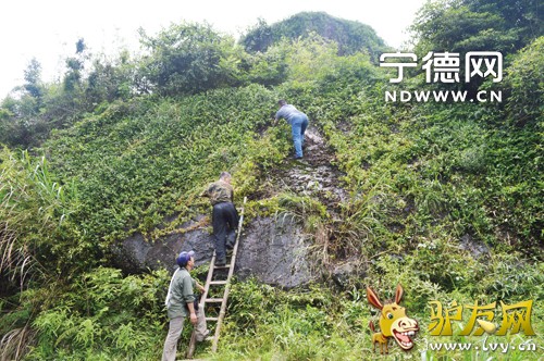 ������������¿�Ѽ���Ѱ�� ����𽡰�ɡ������������ҵ���!