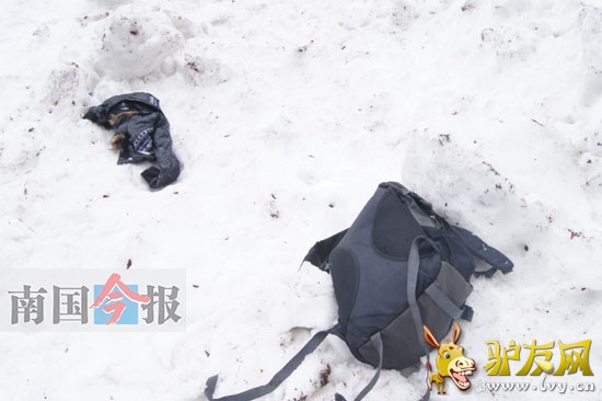 Τ���������ֳ����µı�������Ʒ����������������ͼ