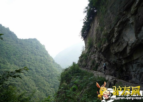 ��ҳ�ޱ���