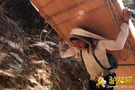 ���ɹ涨��ɽ��������16�꣬����Щ12���ĺ��Ӿ�����ؿ������ص�����ƽ�������ɴ�140�