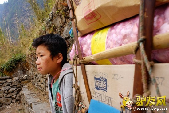 ���ɹ涨��ɽ��������16�꣬����Щ12���ĺ��Ӿ�����ؿ������ص�����ƽ�������ɴ�140�