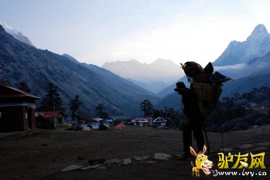 ���ɹ涨��ɽ��������16�꣬����Щ12���ĺ��Ӿ�����ؿ������ص�����ƽ�������ɴ�140�