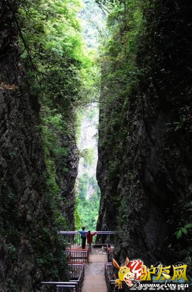 ��������ս���żҽ��Ͽ��һ�������