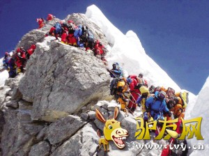 ��塰��Ʊ�� 28����(ͼ)