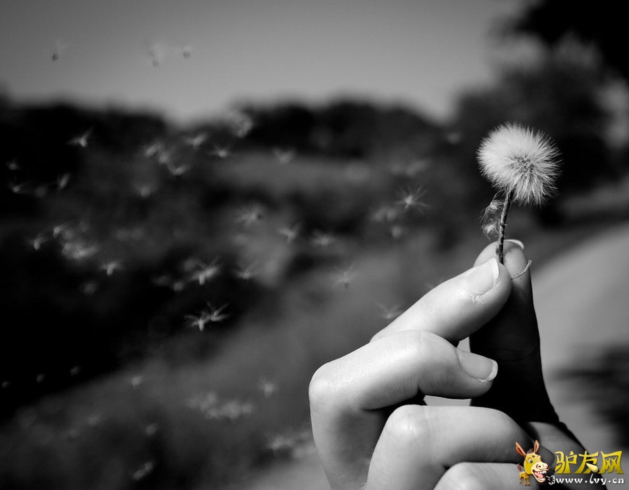 ���ҵ�����ͼ���������ཬ���Խ���[������ͼ]