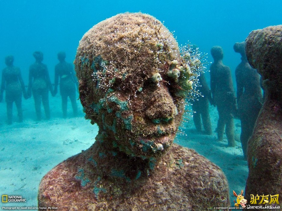 ���ҵ�����ͼ���������ཬ���Խ���[������ͼ]