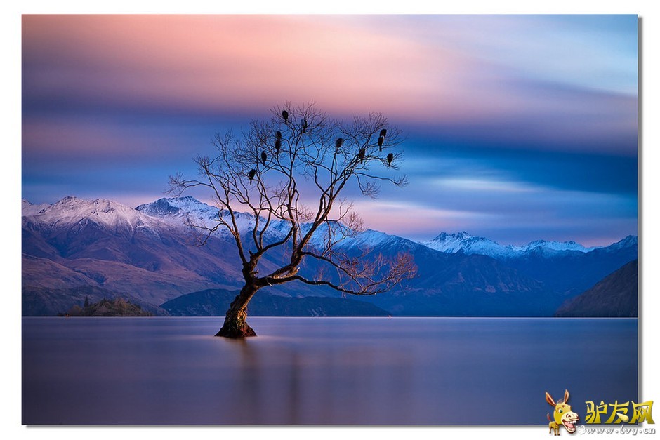 ���ҵ�����ͼ���������ཬ���Խ���[������ͼ]