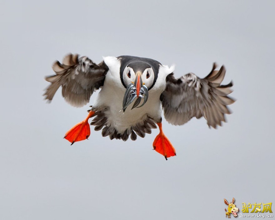 ���ҵ�����ͼ���������ཬ���Խ���[������ͼ]